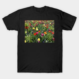 Giant, like a flower T-Shirt